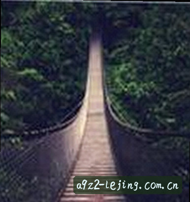 张洋